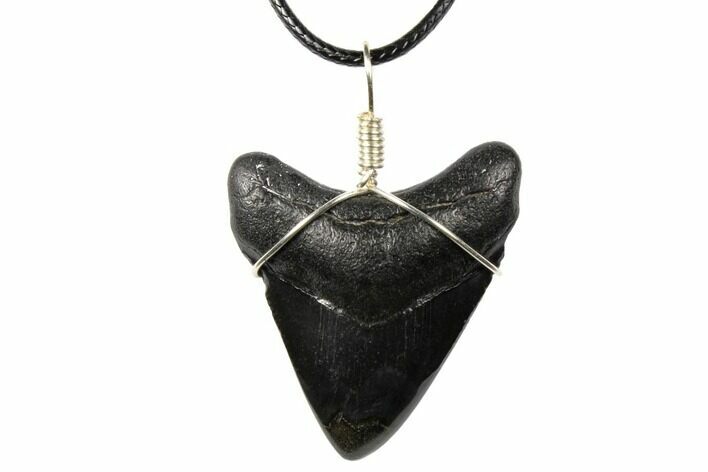 Fossil Megalodon Tooth Necklace #130990